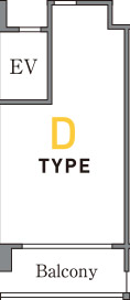 Dtype